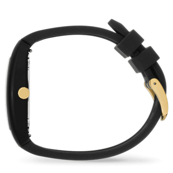 024031-ice-boliday-dome-black-gold-small-3h-d-03 024031 ICE boliday - Dome - Black gold(Small)